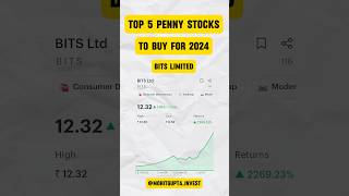 TOP 5 Penny Stocks To Buy For 2024 [upl. by Idonna]