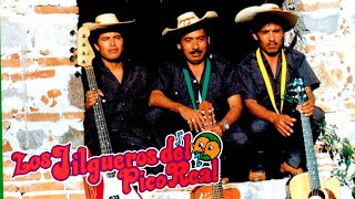 Los Jilgueros Del Pico Real Mix 15 Corridos Viejitos Solo Lo Mejor [upl. by Fiel]