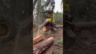 “Advanced tech in harvesterRevolutionizing Forestry” harvester johndeere viralvideo lumberjack [upl. by Tereb380]