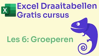 Gratis Excel Draaitabellen Cursus Les 6 Groeperen gratiscursus excel draaitabellen [upl. by Akeryt113]