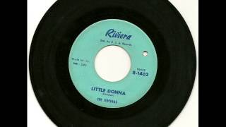 The Rivieras  Little Donna 1964 [upl. by Anuait999]