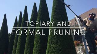 Topiary and Formal Pruning [upl. by Rocray]