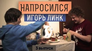 НАПРОСИЛСЯ Игорь Линк [upl. by Abbey]