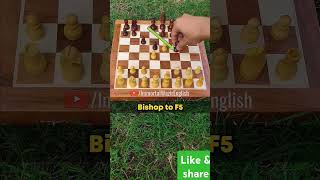 Chess opning trap chess learnchesstrapin30seconds deadlychesstrap chesstraps [upl. by Oneg]