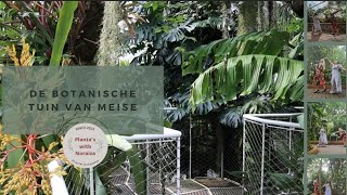 🌱Plantentuin Meise in Belgie  Vlog [upl. by Kcireddor]