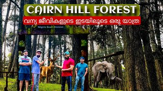 CAIRN HILL RESERVE FOREST  MUST VISIT PLACES IN OOTY  TEAM AMIGOZ [upl. by Burt]