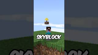 Minecraft But It’s Actually Skyblock minecraft shorts [upl. by Ycnaffit]