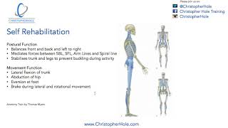 Rehabilitate Lateral Line [upl. by Eustashe792]