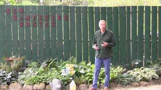 Voles amp Mice How To Have A VoleFree Garden Organic Recipe Included [upl. by Tnerual150]