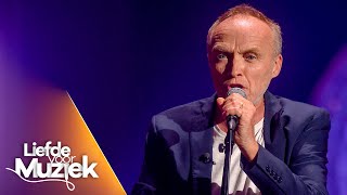 Stef Bos  ‘Vriend’  Liefde voor Muziek  seizoen 9  VTM [upl. by Baldwin678]