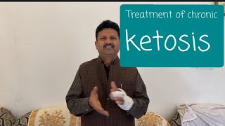 Queries Regarding Chronic Ketosis In Cow। diagnosis symptoms treatment।DrUmar khan [upl. by Ordway]