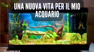 Una NUOVA VITA per il mio ACQUARIO acquario [upl. by Linell]