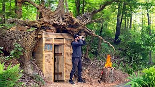 Building a fairytale hut in the roots of a fallen tree [upl. by Braca106]