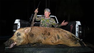 The BIGGEST Wild Boar Ive ever SEEN Whole Slow Roasted Wild Pig [upl. by Mungovan]