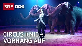 Circus Knie – Wie ein Programm entsteht  Fortsetzung folgt  Doku  SRF Dok [upl. by Annawek955]