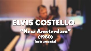 Elvis Costello quotNew Amsterdamquot 1980 acoustic instrumental [upl. by Stucker]