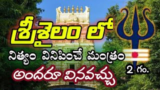 Rare Chanting  Srisailam శ్రీశైలంలో నిత్యం వినిపించే మంత్రం 2 Hrs ఓం నమః శివాయః అందరూ వినవచ్చు [upl. by Eudo]