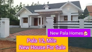 Pala 12 Mile New House For Sale Call 9745949447 Santhosh [upl. by Enilaf]