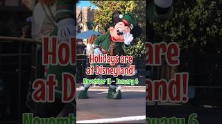 🎄🎅🏼 2024 Holiday Season at Disneyland Resort  November 16  January 6 [upl. by Lukey92]