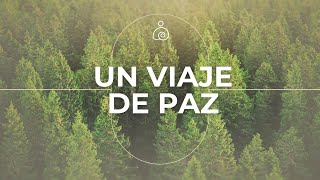 🌿🌿🌿Un Viaje de Paz  Paisajes Naturales para Meditar y Relajarte🌿SIN ANUNCIOS INTERMEDIOS🌿🌿 [upl. by Ahsitra]