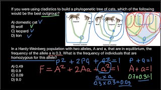 What is the Clade and Outgroup [upl. by Ajnek638]