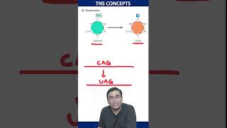 Deamination Of Cytosine  molecularbiology csirnet lifescience [upl. by Tessie447]