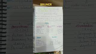 Bruner cognitive development theory HTET PRTTGTPGT [upl. by Nired755]