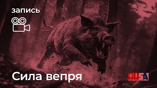 Александр Литвин сила вепря [upl. by Stillmann]