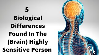 5 Brain Differences Found In The Highly Sensitive Person HSP highlysensitivepeople HSP [upl. by Gonzalo]