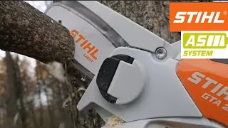 Tree cutting with mini chainsaw Stihl GTA 26 [upl. by Nuncia682]