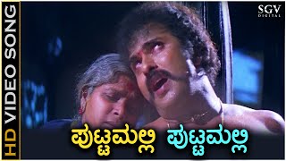 Puttamalli Puttamalli  Putnanja  HD Video Song  Ravichandran  Meena  Mano  Hamsalekha [upl. by Nylassej]