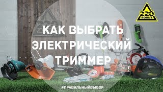 Как выбрать электрический триммер ПРАВИЛЬНЫЙ ВЫБОР Выпуск 16 [upl. by Nnylarej364]