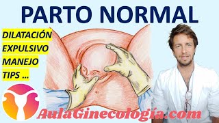 PARTO NORMAL DILATACIÓN EXPULSIVO MANEJO TIPS  Ginecología y Obstetricia [upl. by Byrn]