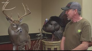 SC Taxidermy Association hosts 2023 show and competition [upl. by Suelo]