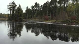 Beaver Dam Collapse [upl. by Torto]