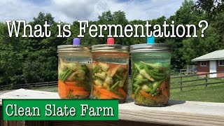 What is fermentation What is pickling Are they the same [upl. by Schmeltzer]