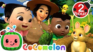 Cody and Ceces Nature Walk  CoComelon  Its Cody Time  CoComelon Songs for Kids amp Nursery Rhymes [upl. by Notac]