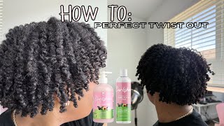 HOW TO Perfect Twist Out on Type 4 Hair [upl. by Imot219]