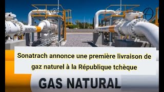 Sonatrach annonce une première livraison de gaz naturel à la République tchèque [upl. by Licha682]