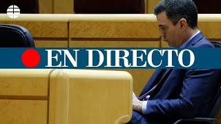 DIRECTO CORONAVIRUS  Pedro Sánchez asiste a la sesión de control al Gobierno en el Senado [upl. by Welch]