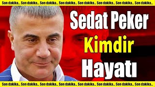 Sedat Peker Kimdir Mal Varlığı Ne Kadar [upl. by Floyd]