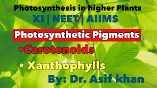 Carotenoids  Carotene amp Xanthophyll  Photosynthesis in higher Plants  XI  NEET  AIIMS [upl. by Chenay]