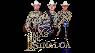 Los empacadores  1Mas de Sinaloa [upl. by Hightower]