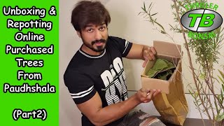 Unboxing amp Repotting online purchased trees from Paudhshalacom  Part 2 [upl. by Zanahs]