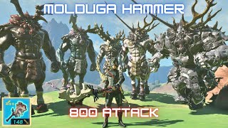 How Strong is Molduga Hammer amp how to build  Zelda Tears of the Kingdom [upl. by Hervey]