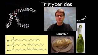 Lipids [upl. by Oskar]