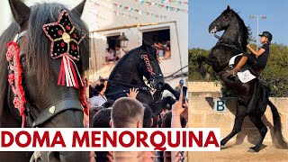 Conoce la doma menorquina🐴 el bot y el jaleo 🎠 [upl. by Midis]