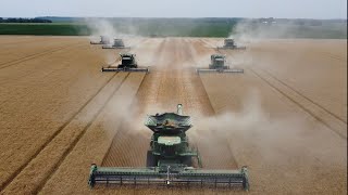 2023 CampG Farms Southern Illinois Wheat Harvest [upl. by Drahser260]