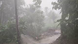 Heavy Rain and Lightning on a Beautiful Afternoon  Terrifying Thunderstorms in Rural Indonesia [upl. by Ocsisnarf]