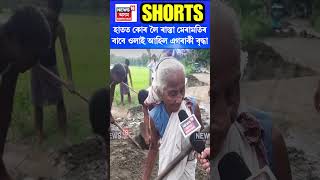 Merapani ৰ কলাজানত হাতত কোৰ লৈ ৰাস্তা মেৰামতিৰ বাবে ওলাই আহিল এগৰাকী বৃদ্ধা shorts n18s 110924 [upl. by Lemahs]